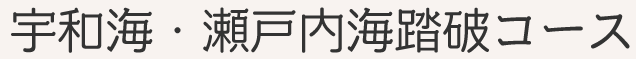 宇和海・瀬戸内海踏破コース