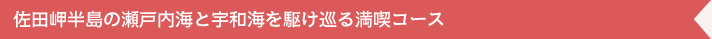 佐田岬半島の瀬戸内海と宇和海を駆け巡る満喫コース