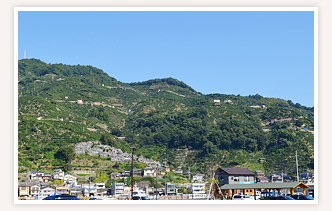 郷の峠・金山出石寺コース