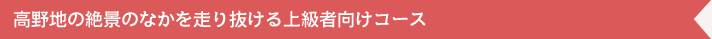 高野地の絶景のなかを走り抜ける上級者向けコース