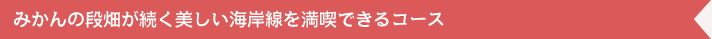 みかんの段畑が続く美しい海岸線を満喫できるコース みかんの段畑が続く美しい海岸線を満喫できるコース