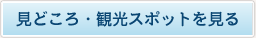 見どころ・観光スポットを見る