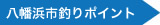 八幡浜市釣りポイント