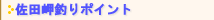 ���c���ނ�|�C���g