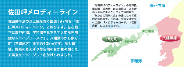 佐田岬半島の頂上線を貫く国道197号線を「佐田岬メロディーライン」と呼びます。左右眼下に瀬戸内海、宇和海を見下ろす大変風光明媚なドライブコースです。八幡浜市から伊方町（三崎地区）まで約40km
      です。風と潮騒、野鳥のさえずり等自然の音が色々聞こえる半島をイメージして名付けられました。